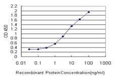 Monoclonal Mouse anti-Human DHX8 Antibody (clone 1E10, WB)