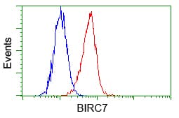 BIRC7 / Livin Antibody (clone OTI1D12, Carrier-free)