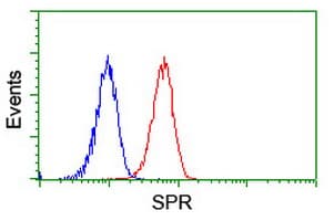 SPR Antibody (clone OTI2C6)