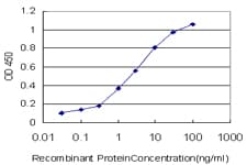 Monoclonal Mouse anti-Human ZIF268 / EGR1 Antibody (clone 6E8, IF, WB)