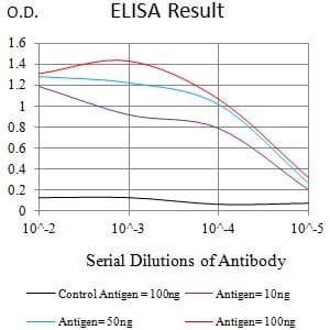 BCAM / CD239 Antibody (clone 8C4E6)
