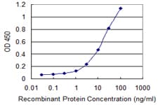 EIF3H / EIF3S3 Antibody (clone 3C6)