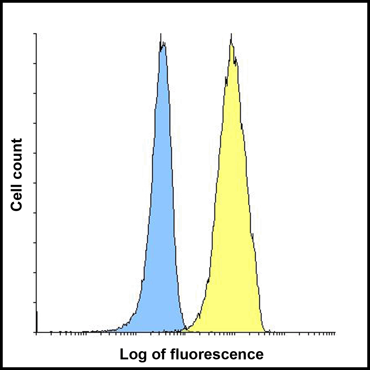 TIGIT Antibody (clone 7.00E+05)