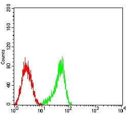 CD53 Antibody (clone 7A8D3)