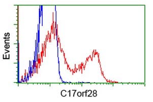 HID1 / C17orf28 Antibody (clone OTI2E9)