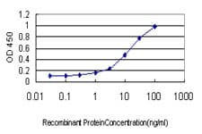 HSF2 Antibody (clone 1F11-A3)