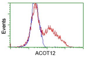 ACOT12 Antibody (clone OTI1B9)