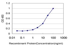 SSH3 Antibody (clone 6F9)
