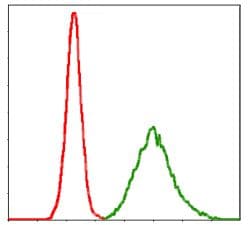 KCNQ1 / KVLQT1 Antibody (clone 5E+12)