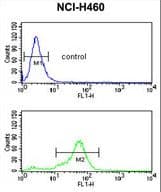 Histone H4 Antibody (aa1-30)