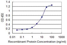 NBP / NUBP1 Antibody (clone 2B11)