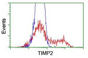 TIMP2 Antibody (clone OTI1A6, Carrier-free)
