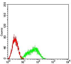 Monoclonal Mouse anti-Human CLEC12A / CD371 Antibody (clone 6B3G8, WB)