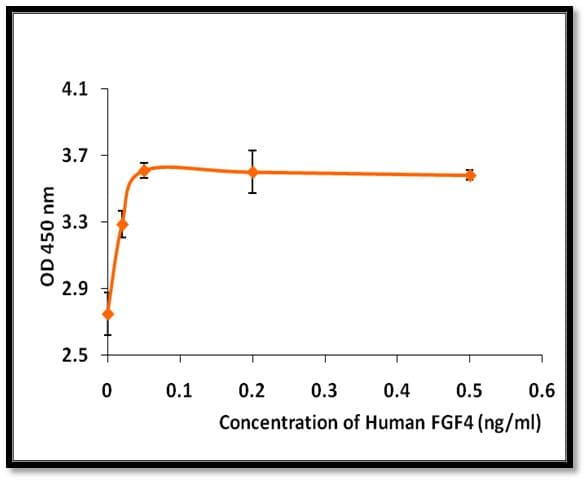 Human FGF4 Protein (Recombinant)