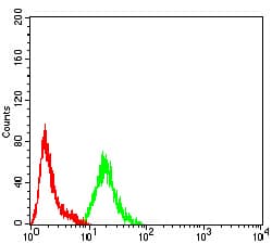ARFGAP1 Antibody (clone 1C4E2)