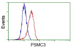 Monoclonal Mouse anti-Human PSMC3 Antibody (clone OTI7B10, IHC, IF, WB)