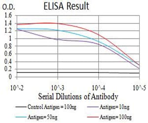 Monoclonal Mouse anti-Human CBX7 Antibody (clone 3H9D7, IHC, IF, WB)