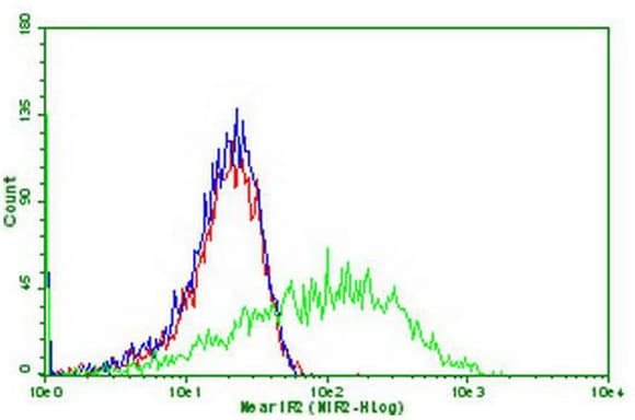 Monoclonal Mouse anti-Human PDCD1 / CD279 / PD-1 Antibody (clone OTI12G4, IF, WB)