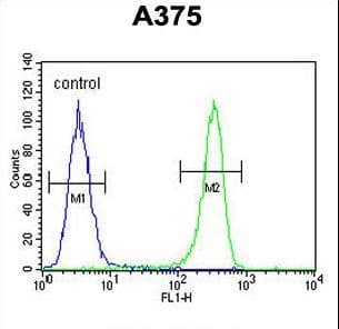 DSC1 / Desmocollin 1 Antibody (aa659-687)