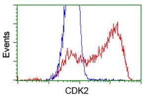 CDK2 Antibody (clone OTI2F10, Carrier-free)