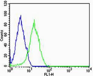SHB Antibody (Tyr268)