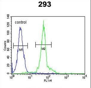 IFT172 Antibody (aa28-57)