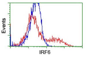 IRF6 Antibody (clone OTI2C10, Carrier-free)