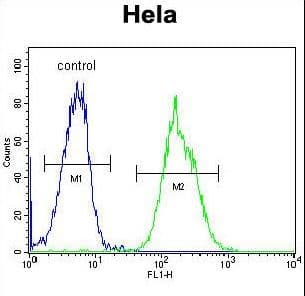 MAPRE1 / EB1 Antibody (aa44-71)