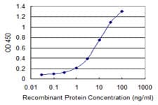 PLA2G16 / HRASLS3 Antibody (clone 4C4-2A11)