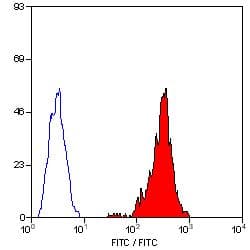 SLA Class I Antibody (clone JM1E3, FITC)