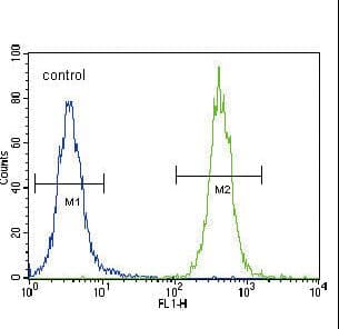 CCDC85C Antibody (aa56-85)