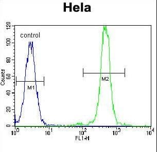 IHC-plus™ Polyclonal Rabbit anti-Human FASN / Fatty Acid Synthase Antibody (aa942-973, IHC, IF, WB)