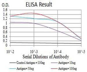 Apg7 / ATG7 Antibody (clone 7D3E5)