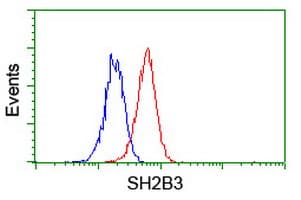 SH2B3 / LNK Antibody (clone OTI6F11)