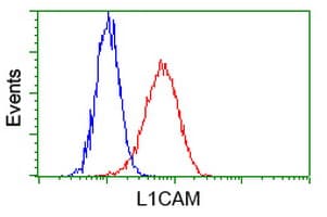 Monoclonal Mouse anti-Human L1CAM Antibody (clone OTI4F4, IHC, IF, WB)
