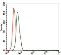 CD59 Antibody (Amino Acid: 31-111, clone 8D2B8)