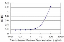 PTGES3 / p23 Antibody (clone 3H1-2A8)