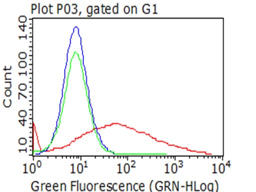 HAVCR2 / TIM-3 Antibody (clone OTI9H6)