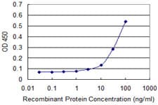 IHC-plus™ HBZ Antibody (clone 1G10)
