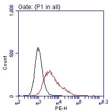 GPR49 / LGR5 Antibody (aa22-543, clone UMAB212)