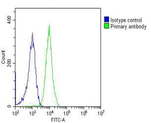 PGK1 / Phosphoglycerate Kinase Antibody (clone 1086CT10.2.1)