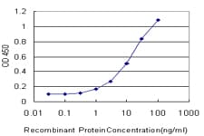 RNPEP Antibody (clone 4E1)