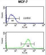 NIP7 Antibody (aa150-177)