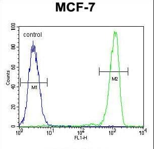 RABGAP1 Antibody (aa14-43)