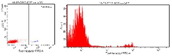 Monoclonal Mouse anti-Human TCR Gamma + TCR Delta Antibody (clone 11F2)