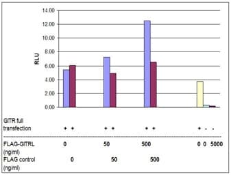 Mouse TNFSF18 / GITRL Protein (Recombinant DDK (Flag))