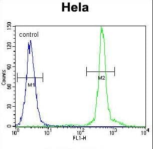 ASXL1 Antibody (aa521-549)