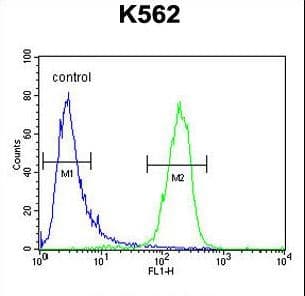 SLC25A52 Antibody (aa46-75)
