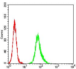 ER Alpha / Estrogen Receptor Antibody (clone 6A6F3)