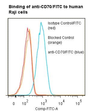 CD27L / CD70 Antibody (clone BU69, FITC)